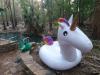 Even a unicorn