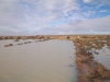 Birdsville Track cut by the Cooper Creek