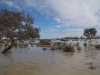 Birdsville Track cut by the Cooper Creek