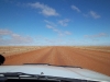 Birdsville Track