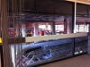 View from my Adelaide Office