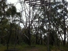 Old Fire Spotting Tower ...