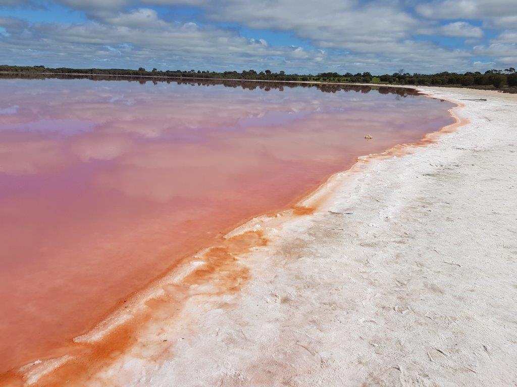 Pink Lake Dimboola Pink Lake Dimboola