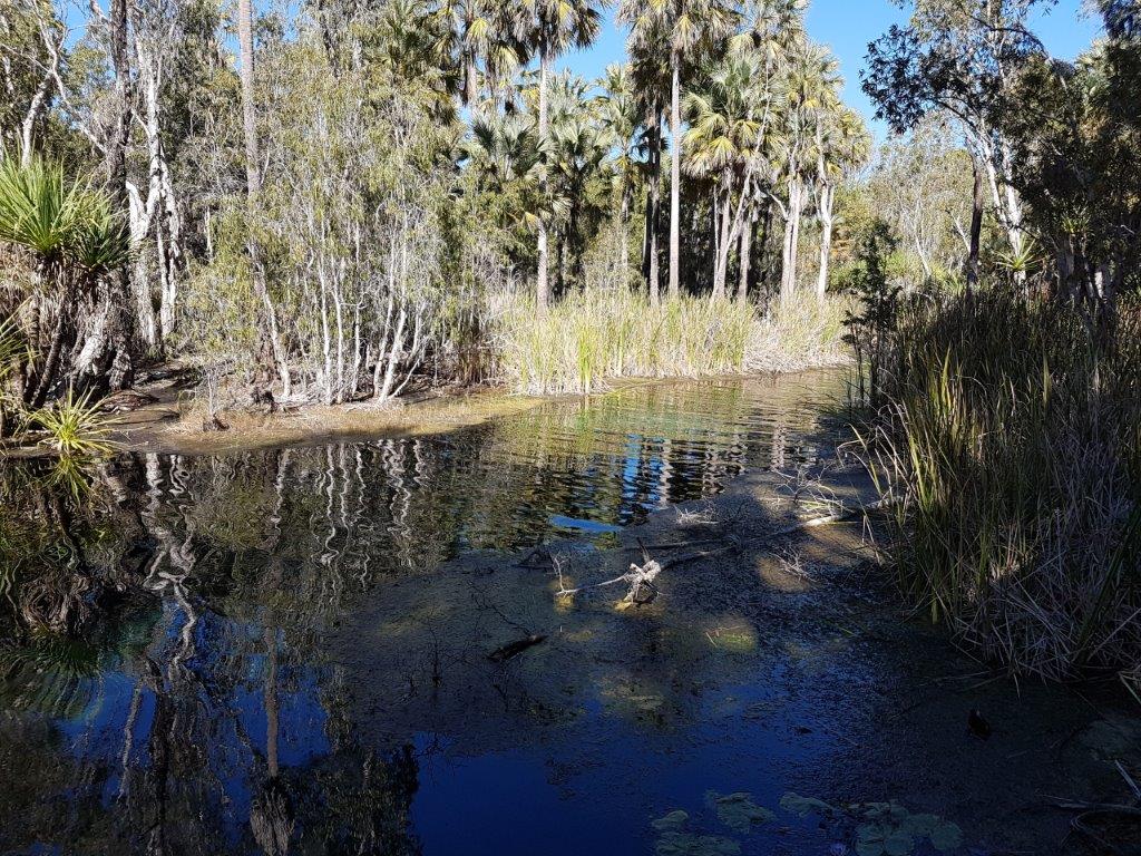 Bitter Springs Bitter Springs
