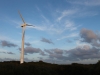 Wind Farm - Esperance