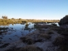 Mungerannie Wetlands