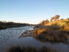 Mungerannie Wetlands