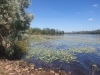 Manton Dam