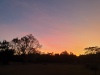 Litchfield Tourist Park