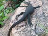 Buley Rockhole