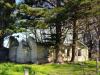 Millicent Ruin