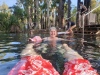 Bitter Springs