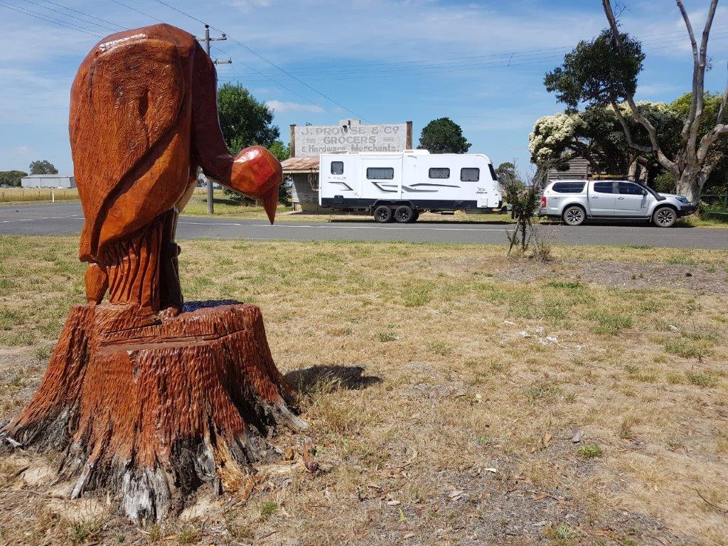 Big Bird at Cressy Big Bird at Cressy