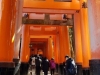 Fushimi Inari Taisha