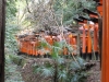 Fushimi Inari Taisha