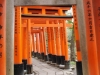Fushimi Inari Taisha