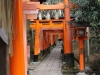 Fushimi Inari Taisha