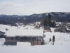 Japanese Countryside from the train