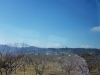 Around Nagano