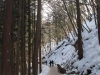 Jigokudani Monkey Park