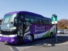 Our Racing Bus