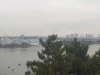 Tokyo Skyline