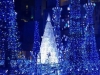 Caretta Shiodome Illumination Show