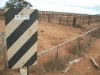 At the Dog Fence ...