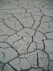 Arkaroola Springs drying out ...