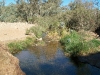 The water is too hot there (radioactive) ...