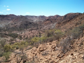 Gammon Ranges