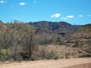 Gammon Ranges