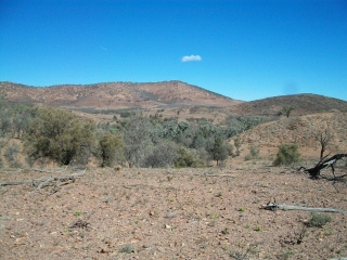 Arcoona Creek