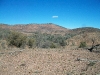 Arcoona Creek