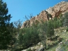 GC1ZFTZ -  South Gorgeous