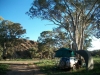 Parachilna Gorge campsite