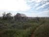 Ruin near Mambray Creek