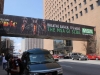 MSA Banner