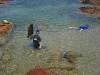 Shag Rock
