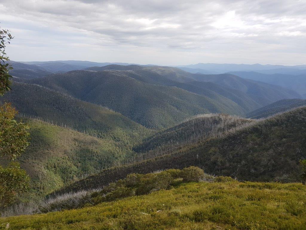 View from Blue Rag Track View from Blue Rag Track