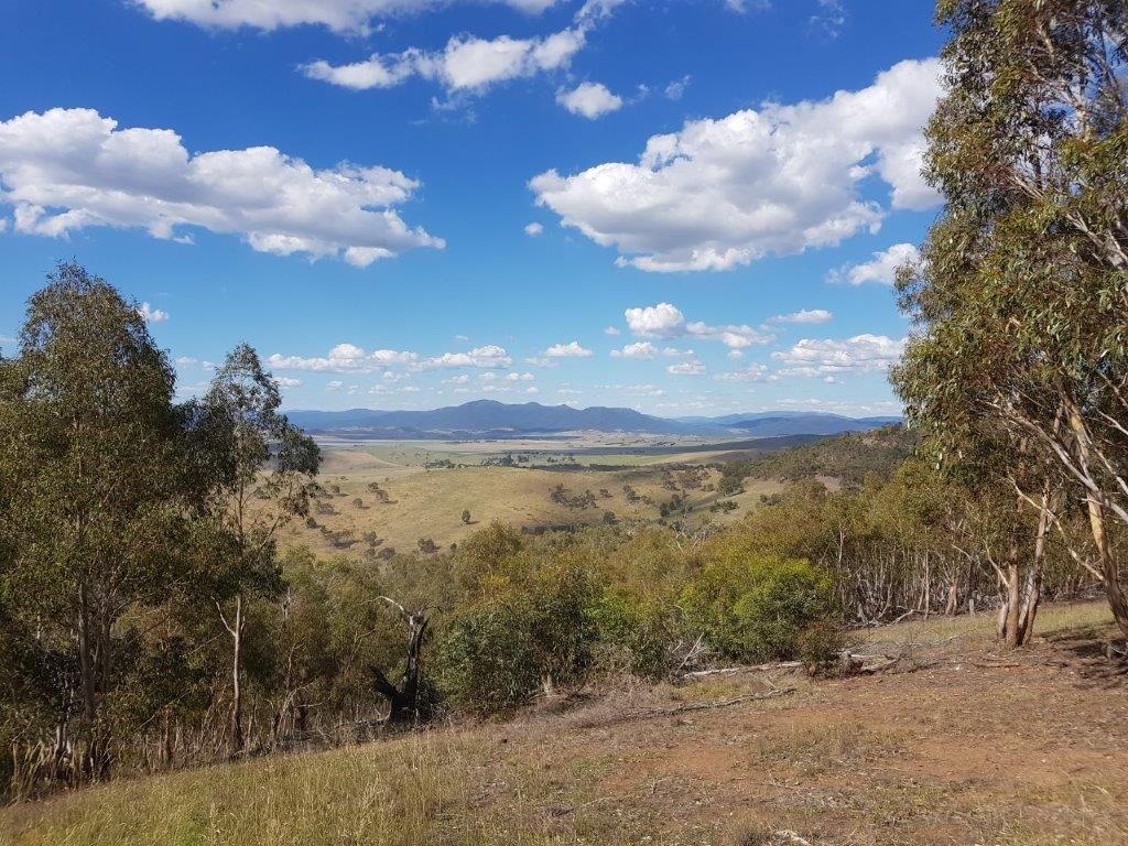 View from McMillans Lookout Omeo Victoria