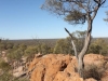 Baldy Top Lookout Quilpie QLD