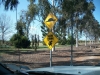 WTF is this sign