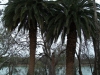 GC1P05D - River Landing