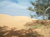 GC1WKTP - Perry Sand Hills