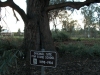 GC1EE6N - Fishing School ......