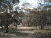 GC1RN6T - The Old Ruin Farm House #2