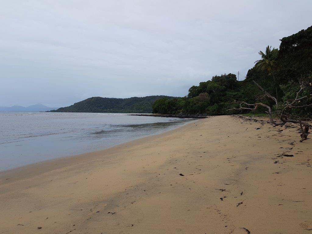 Wongo Beach Wongo Beach