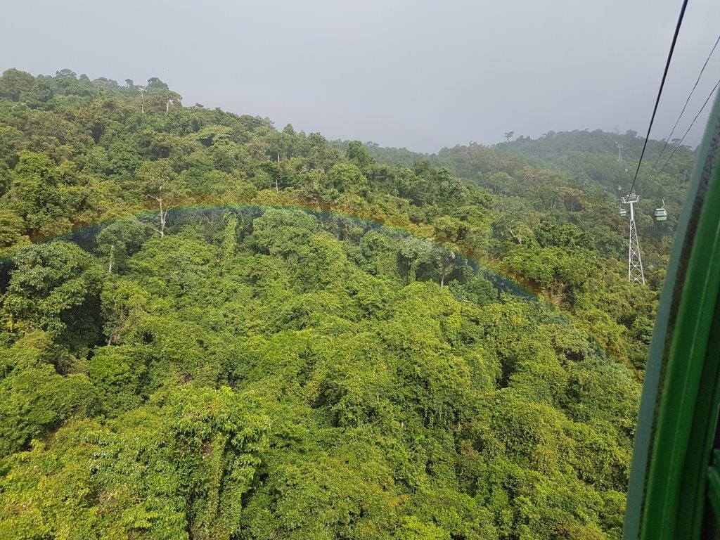 Skyrail from Cairns to Kuranda Skyrail from Cairns to Kuranda