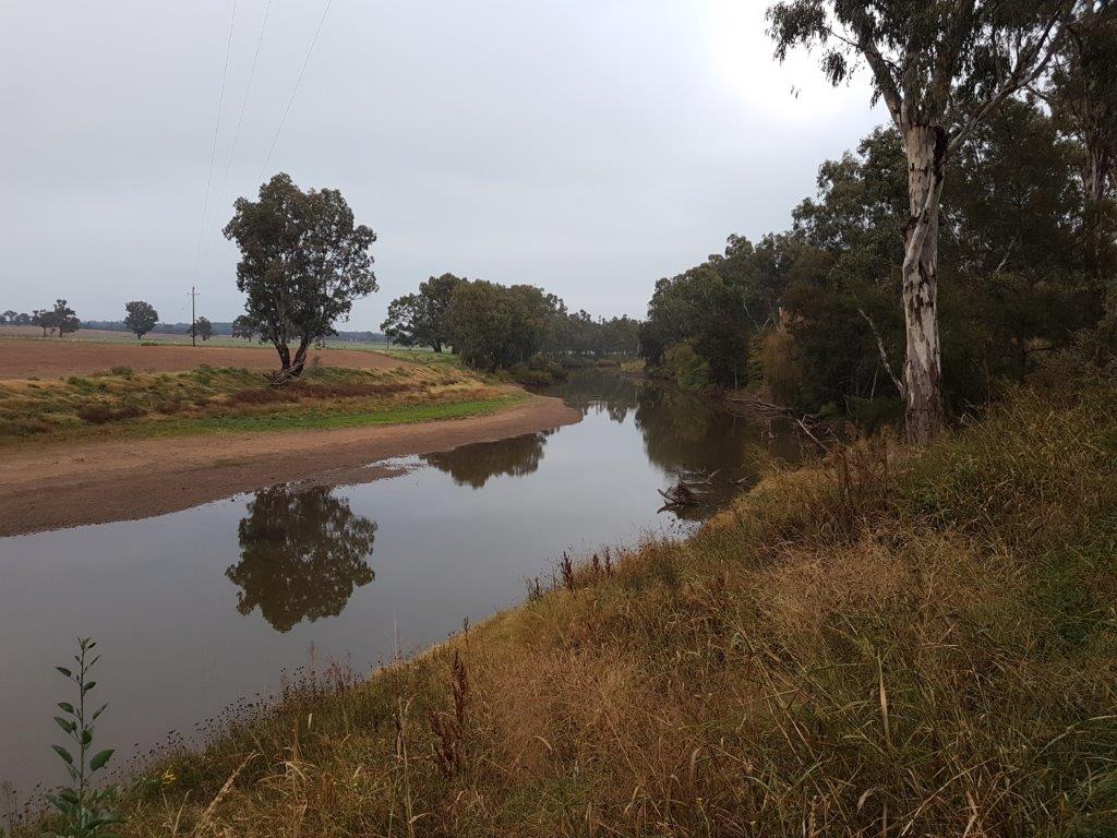 Macquarie River Macquarie River